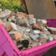 Skip Hire Tameside